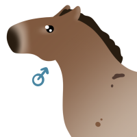 Thumbnail for ANI-4088: Baatar