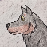 Thumbnail image for ANI-4090: Skoll