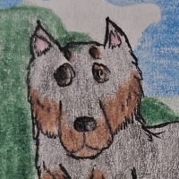 Thumbnail image for ANI-4091: Tapioca