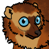 Thumbnail for ANI-4092: Blue-Eyed Black Lemur (F)