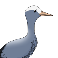 Thumbnail for ANI-4099: Ao