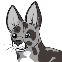 Thumbnail for STAFF-095: Sallie