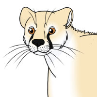 Thumbnail image for ANI-4104: Tumelo