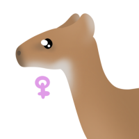 Thumbnail for ANI-4126: Amaranth