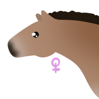 Thumbnail for ANI-4127: Saran