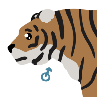 Thumbnail for ANI-4128: Sila