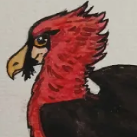 Thumbnail for ANI-4138: Bearded Vulture (F)