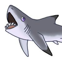 Thumbnail for ANI-4140: Helicoprion (F)