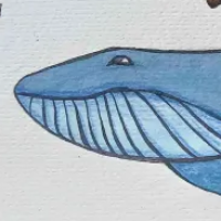 Thumbnail for ANI-4144: Blue Whale (M)