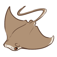 ANI-4145: Cownose Ray (F)