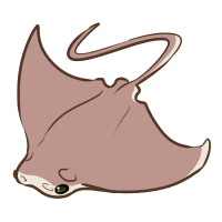 ANI-4146: Cownose Ray (M)