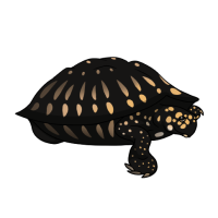 Thumbnail image for ANI-4147: Alexander Hamilton