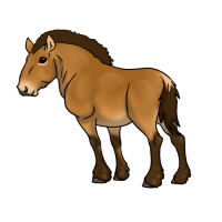 Thumbnail for ANI-4148: Rhett