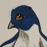 Thumbnail for ANI-4152: Adélie Penguin (M)