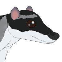 Thumbnail for ANI-4159: River