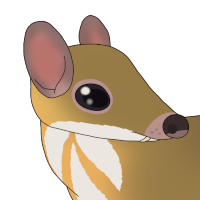 Thumbnail image for ANI-4179: Frank