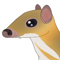 Thumbnail image for ANI-4180: Ollie