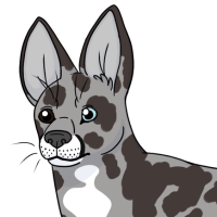 Thumbnail for STAFF-095: Sallie