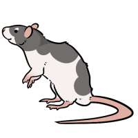 Thumbnail for ANI-4182: Instructor