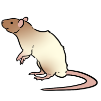 Thumbnail for ANI-4185: Caramel