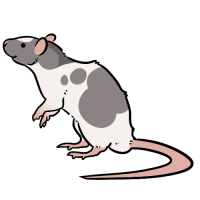 Thumbnail for ANI-4186: Tenure Employee