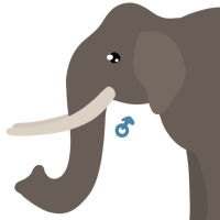Thumbnail for ANI-4187: Asian Elephant (M)
