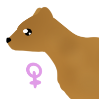 Thumbnail for ANI-4188: Sunny