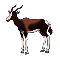 Thumbnail image for ANI-4221: Vigilance