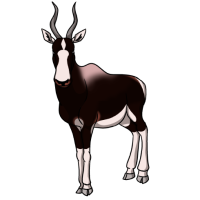 Thumbnail image for ANI-4222: Hark