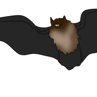 Thumbnail for ANI-4228: Spoiler