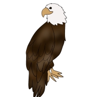 Thumbnail for ANI-4230: Pepper