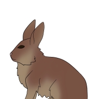 Thumbnail of ANI-4232: Bob