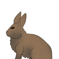 Thumbnail of ANI-4234: Marie