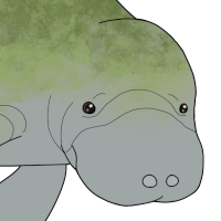 Thumbnail for ANI-4237: Mossy