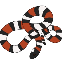 Thumbnail image for ANI-4243: Flutter shy