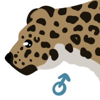 Thumbnail for ANI-4254: Cahok