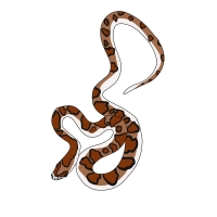 Thumbnail image for ANI-4255: Pinkie Pie