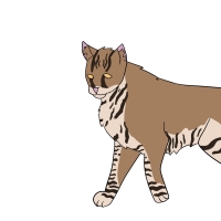 Thumbnail for ANI-4257: clover