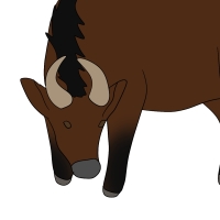 Thumbnail for ANI-4262: Oak