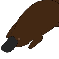 Thumbnail for ANI-4267: Molly