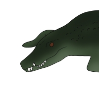 Thumbnail for ANI-4270: Bella