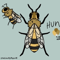 Thumbnail for ANI-4273: Hun •ﻌ•