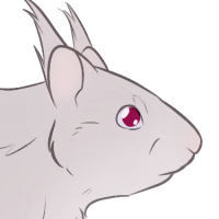 Thumbnail image for ANI-4298: Shelley 🧟