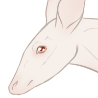 Thumbnail for ANI-4301: Mzimu