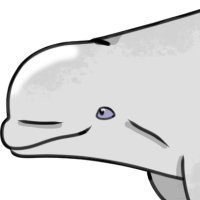 Thumbnail for ANI-4305: Bruce