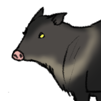 Thumbnail for ANI-4311: Collared Peccary (M)