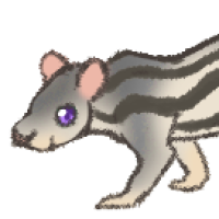 Thumbnail for ANI-4313: Grandidier's Mongoose (M)