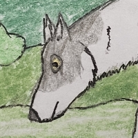 Thumbnail for ANI-4330: Aelin