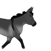 Thumbnail image for ANI-4332: Orion