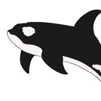 Thumbnail for ANI-4333: Annie